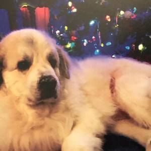 Meet your Posher, Annamarie